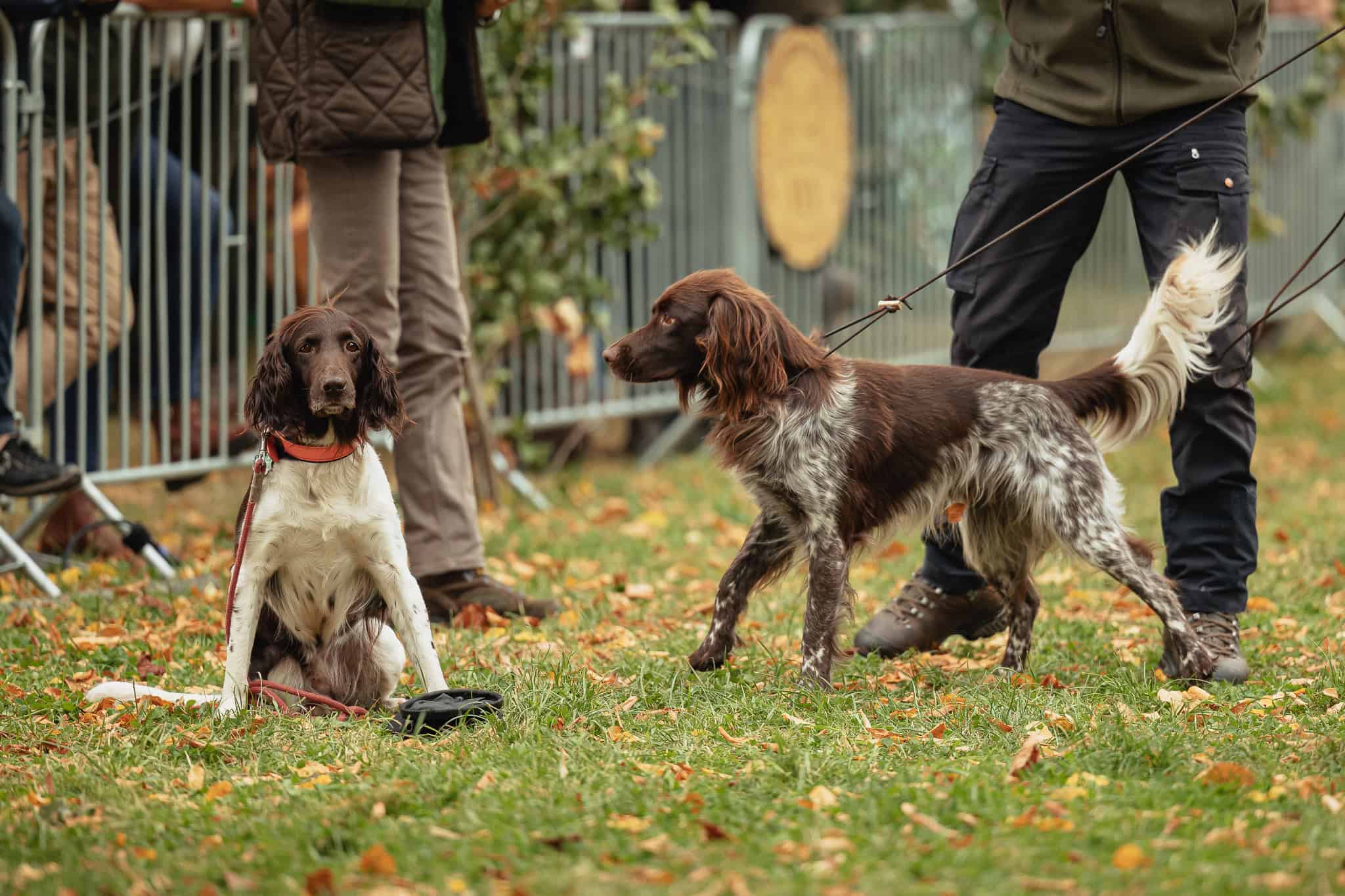 JuA_2023_tony_miersba