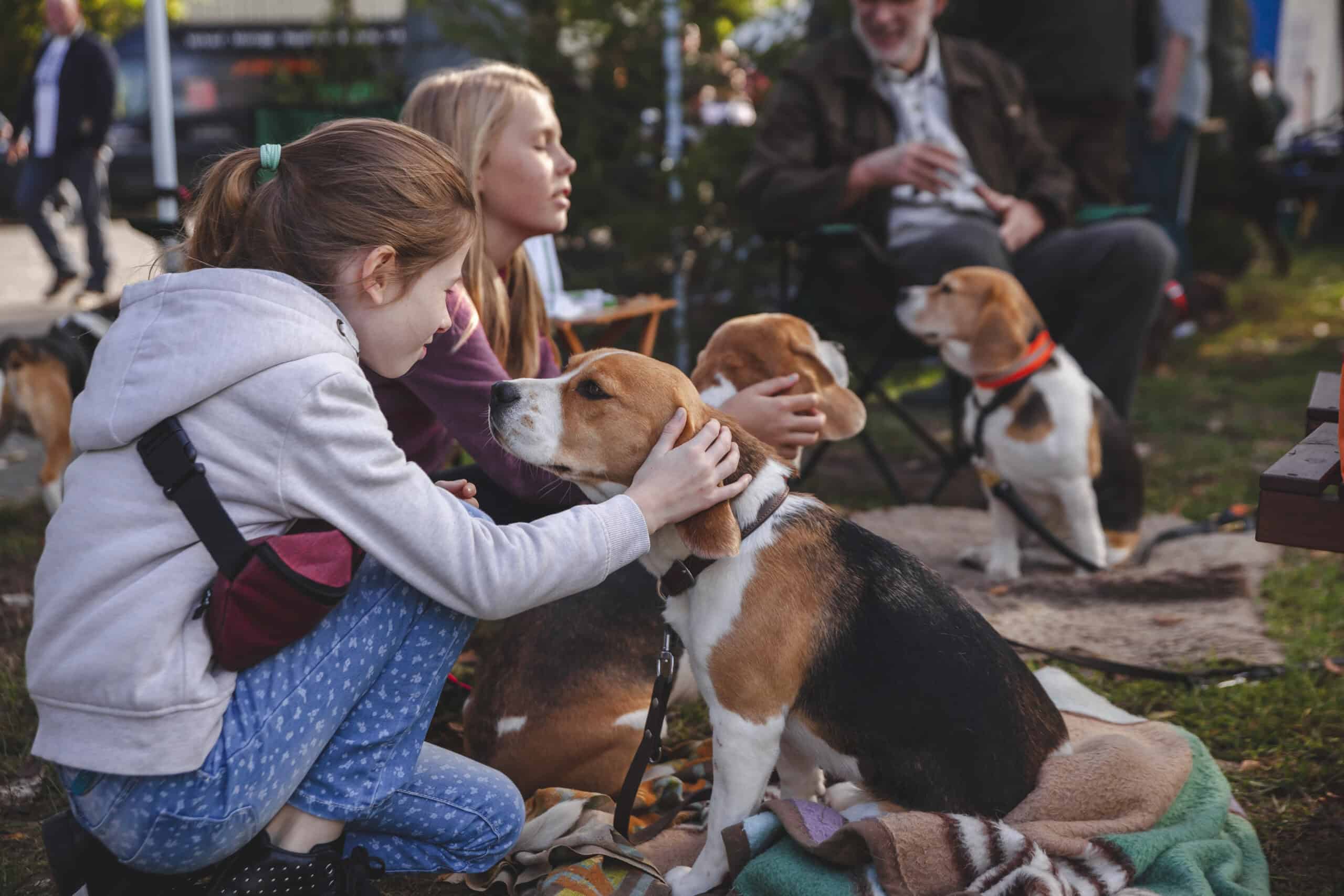 HQ - Jagd und Angeln - 20181005 - EHH Fotografie - www.ehh-fotografie.com (32 von 300)