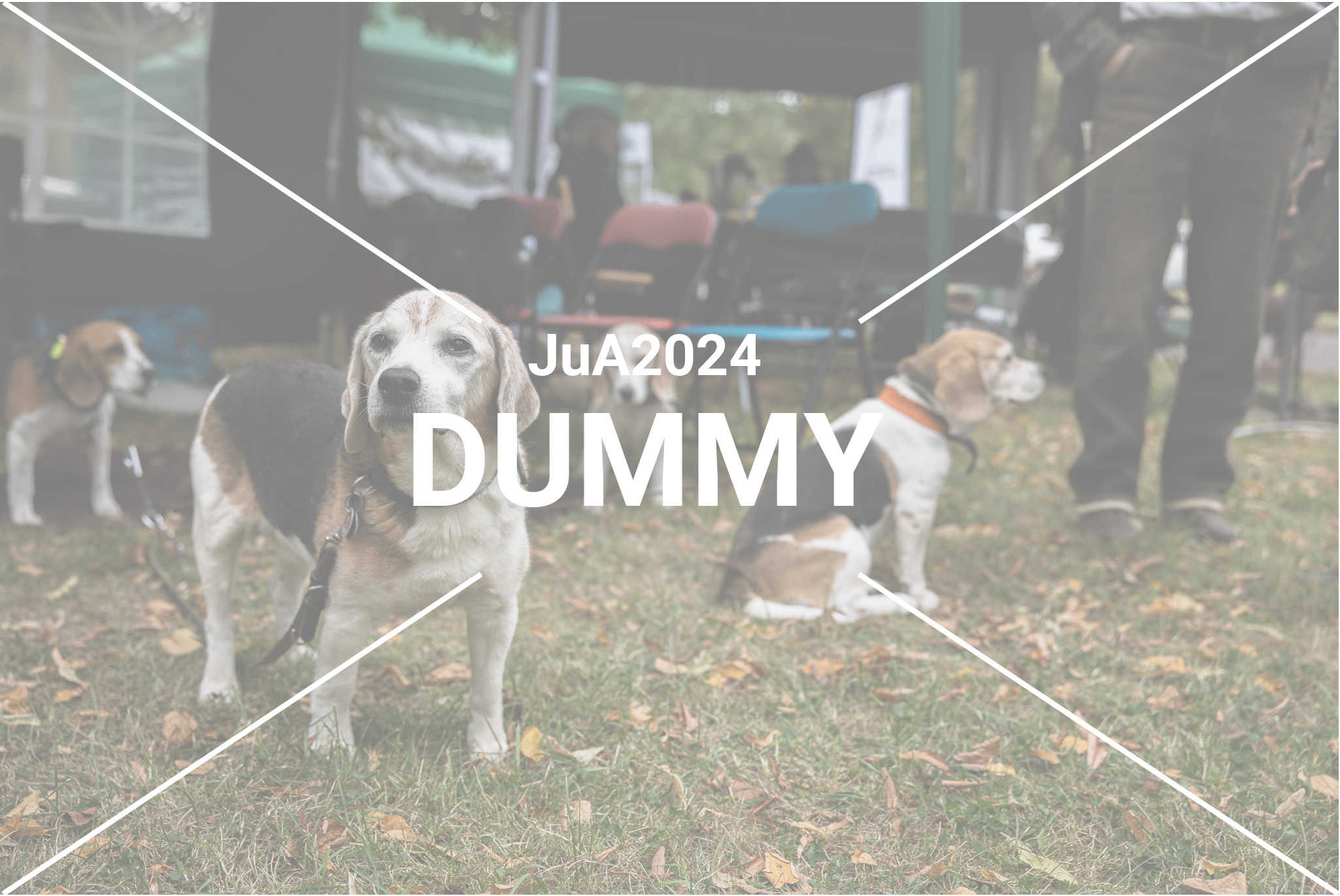 JuA2024_Dummy