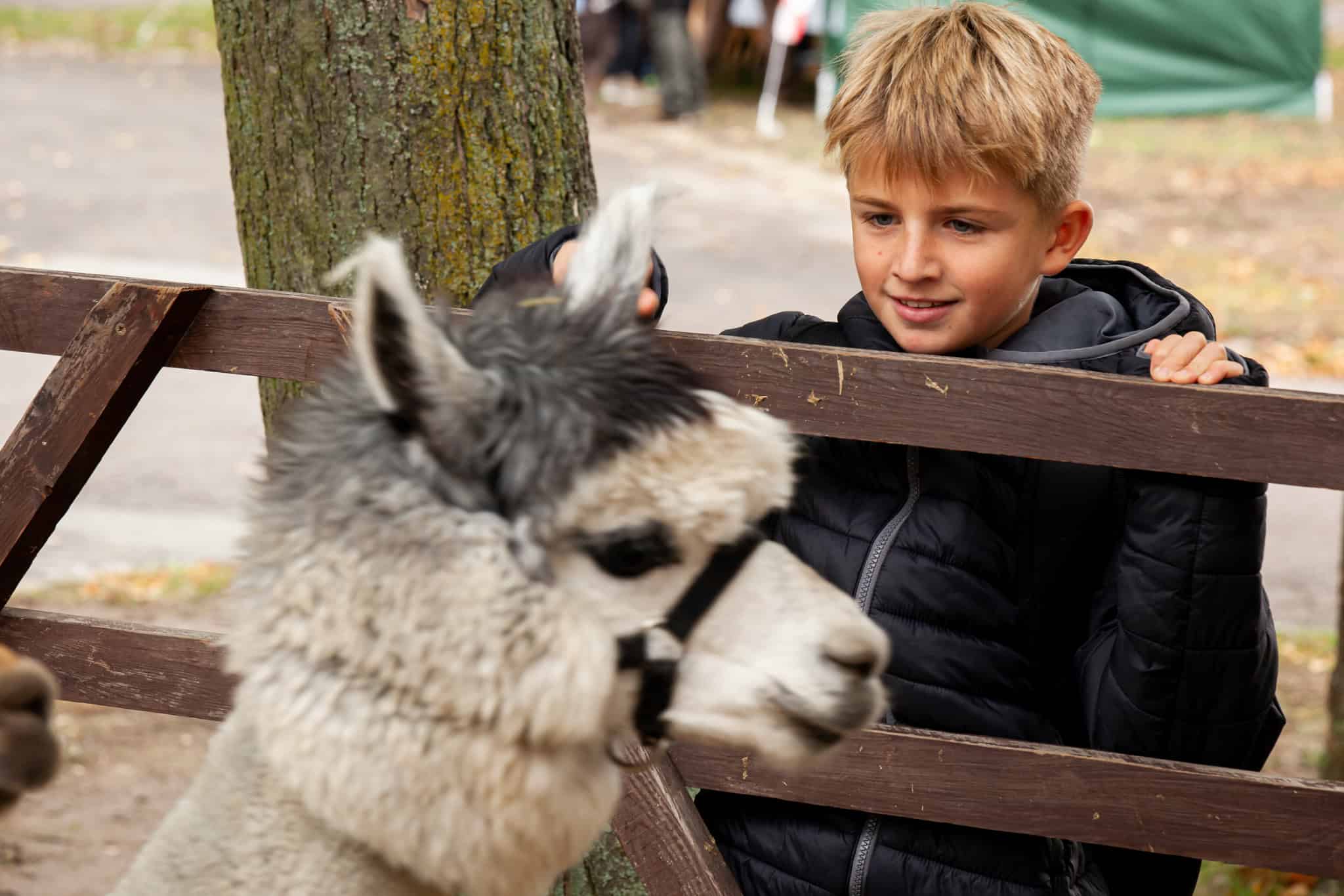 SM - Jagd und Angeln Freitag 2019 - EHH Fotografie - www.ehh-fotografie.com-96